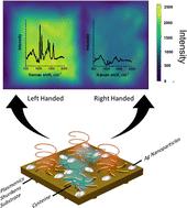 Coupling of plasmonic hot spots with shurikens for superchiral SERS-based enantiomer recognition†