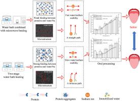 Enhanced sodium release and saltiness perception of surimi gels by microwave combined with water bath heating