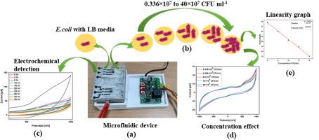 Microfluidic electrochemical device for real-time culturing and interference-free detection of Escherichia coli