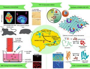 Engineered graphene quantum dot nanocomposite triggers α-synuclein defibrillation: Therapeutics against Parkinson's disease