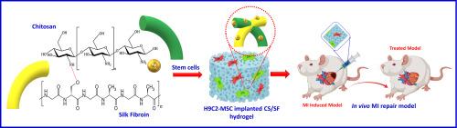 Novel fabrication of bioengineered injectable chitosan hydrogel loaded with conductive nanoparticles to improve therapeutic potential of mesenchymal stem cells in functional recovery after ischemic myocardial infarction