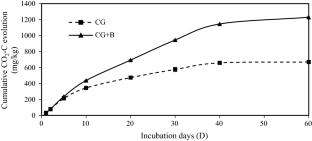 Biodegradation of organic compounds in the coal gangue by Bacillus sp. into humic acid