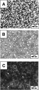 Control of protein density on nanoparticles for SERS-based immunoassays