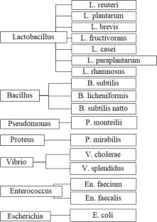 New perspectives for mechanisms, ingredients, and their preparation for promoting the formation of beneficial bacterial biofilm