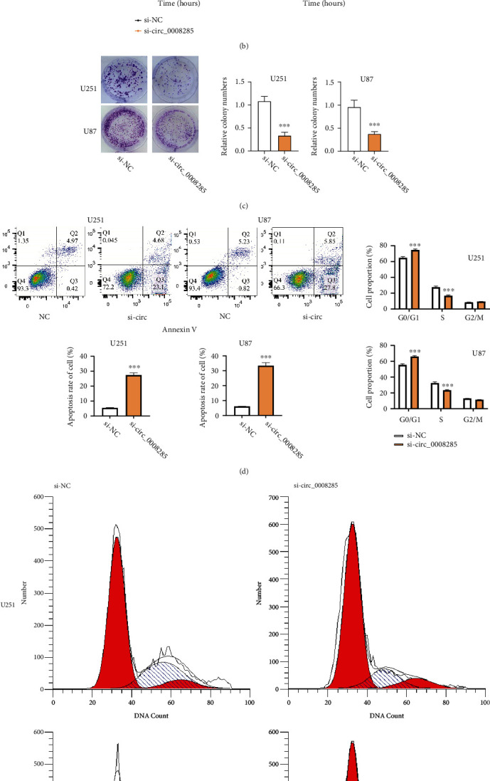 circ_0008285 Regulates Glioma Progression via the miR-384/HMGB1 Axis.