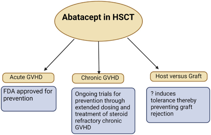 Role of abatacept in the prevention of graft-<i>versus</i>-host disease: current perspectives.