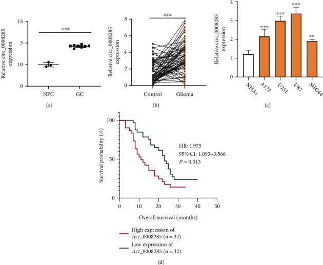 circ_0008285 Regulates Glioma Progression via the miR-384/HMGB1 Axis.