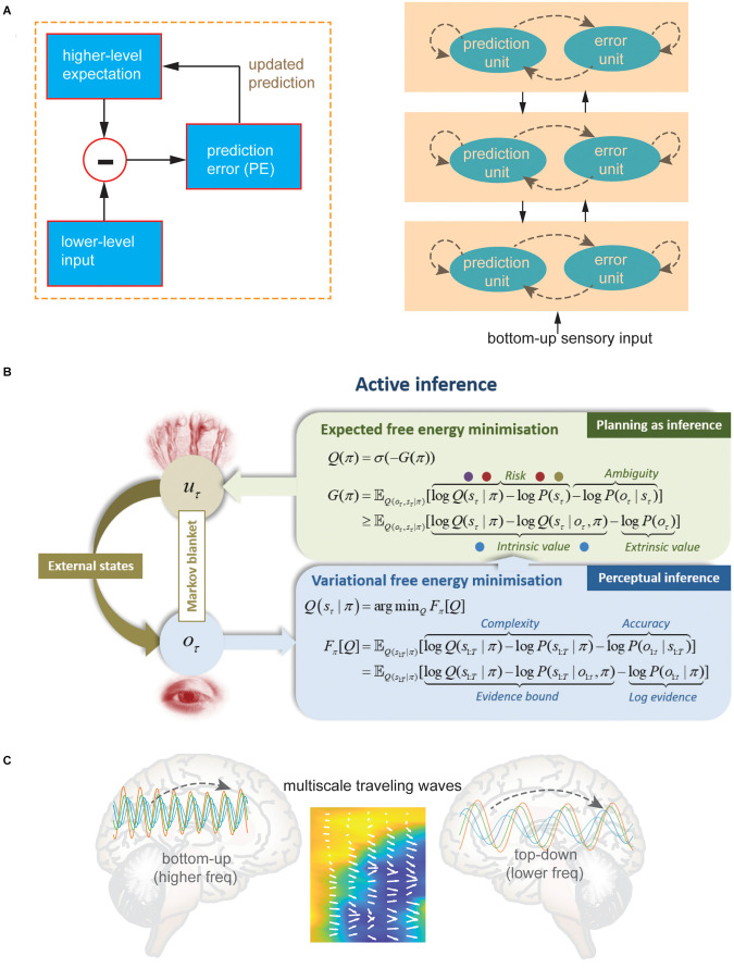 Hierarchical predictive coding in distributed pain circuits.