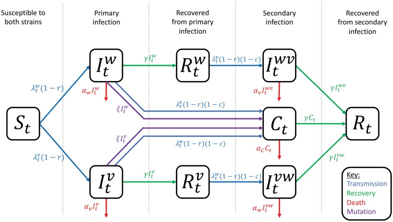 Non-pharmaceutical interventions and the emergence of pathogen variants.