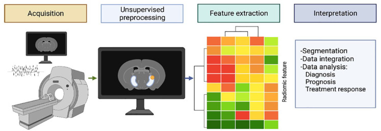 Artificial intelligence and radiomics in evaluation of kidney lesions: a comprehensive literature review.