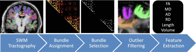 Short superficial white matter and aging: A longitudinal multi-site study of 1293 subjects and 2711 sessions