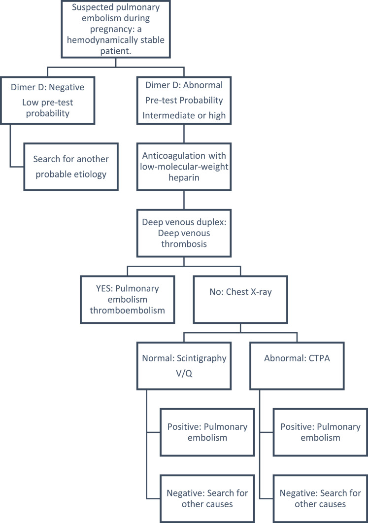 Pulmonary Thromboembolism in Pregnancy: A Case Report and Literature Review.