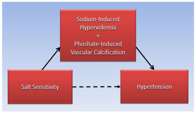 Salt-Sensitive Hypertension: Mediation by Salt-Induced Hypervolemia and Phosphate-Induced Vascular Calcification.