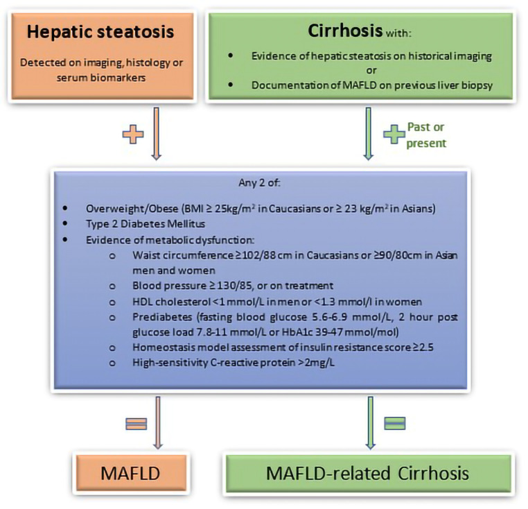 Recent advances in NAFLD: current areas of contention.