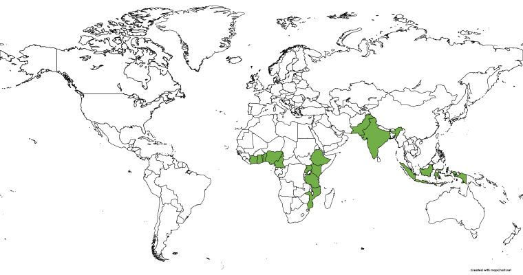 Antimalarial potential of <i>Moringa oleifera</i> Lam. (Moringaceae): A review of the ethnomedicinal, pharmacological, toxicological, and phytochemical evidence.