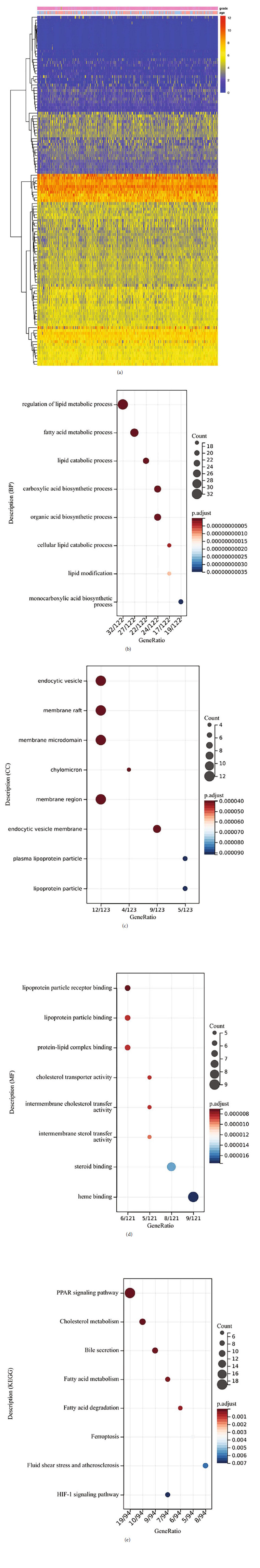 Comprehensive Analysis Identifies the PPAR-Targeted Genes Associated with Ovarian Cancer Prognosis and Tumor Microenvironment.