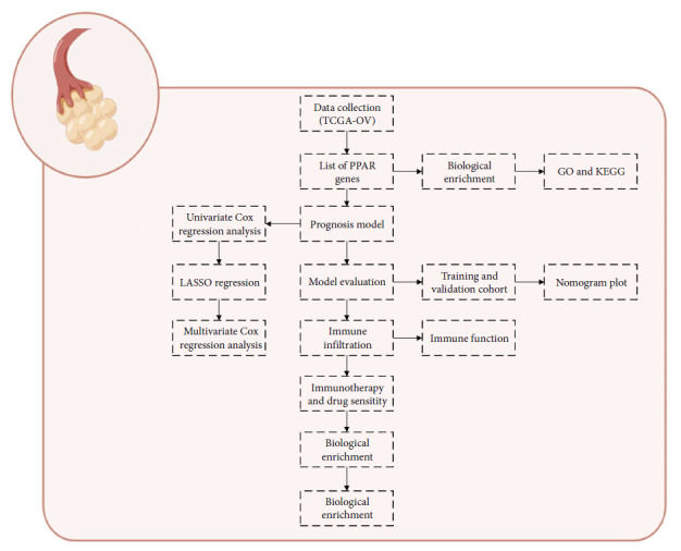 Comprehensive Analysis Identifies the PPAR-Targeted Genes Associated with Ovarian Cancer Prognosis and Tumor Microenvironment.