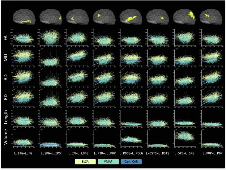 Short superficial white matter and aging: A longitudinal multi-site study of 1293 subjects and 2711 sessions