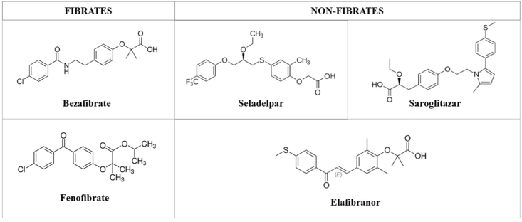 PPAR agonists for the treatment of primary biliary cholangitis: Old and new tales