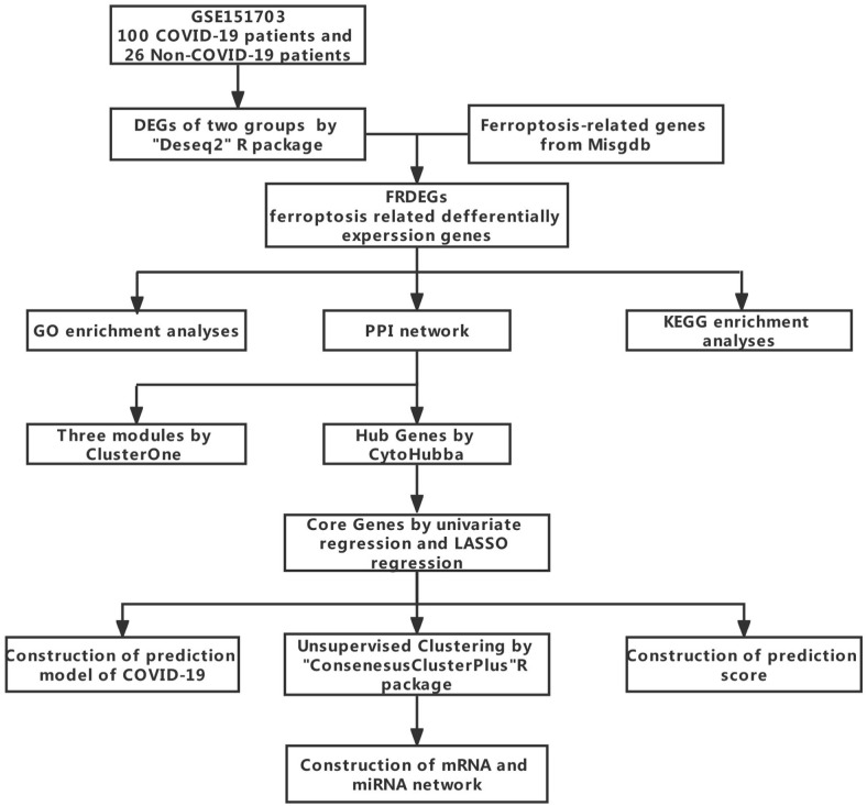 The Biological Processes of Ferroptosis Involved in Pathogenesis of COVID-19 and Core Ferroptoic Genes Related With the Occurrence and Severity of This Disease.