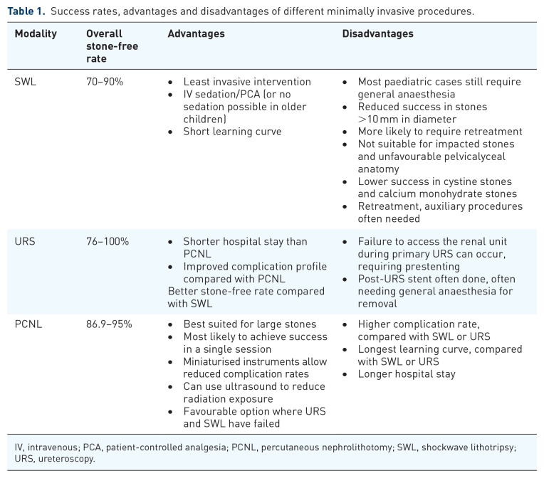 Paediatric kidney stone surgery: state-of-the-art review.