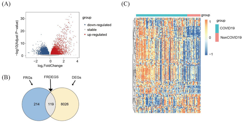 The Biological Processes of Ferroptosis Involved in Pathogenesis of COVID-19 and Core Ferroptoic Genes Related With the Occurrence and Severity of This Disease.