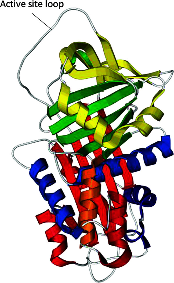 Diagnosis and augmentation therapy for alpha-1 antitrypsin deficiency: current knowledge and future potential.