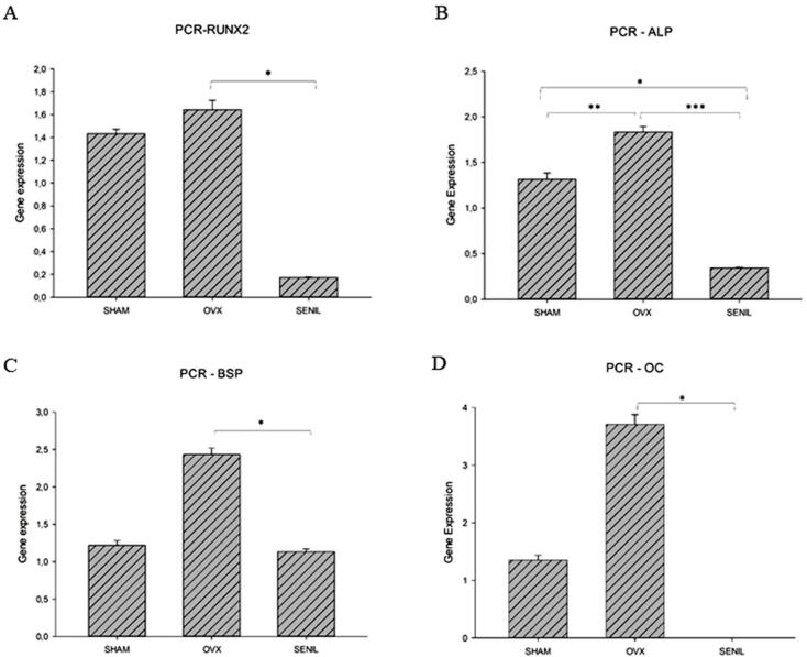 Feasible low bone density condition for assessing bioactivity in ex-in vivo and in vivo studies.