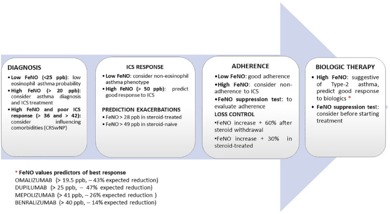 Fractional nitric oxide measurement in exhaled air (FeNO): perspectives in the management of respiratory diseases.