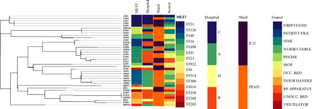 A Genomic Snapshot of Antibiotic-Resistant<i>Enterococcus faecalis</i> within Public Hospital Environments in South Africa.