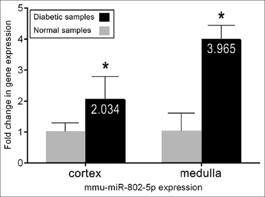 miR-802-5p is a key regulator in diabetic kidney disease.