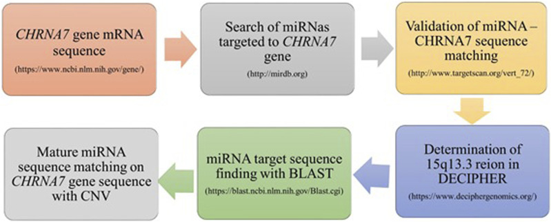 The holistic approach to the <i>CHRNA7</i> gene, <i>hsa-miR-3158-5p</i>, and 15q13.3 hotspot CNVs in migraineurs.