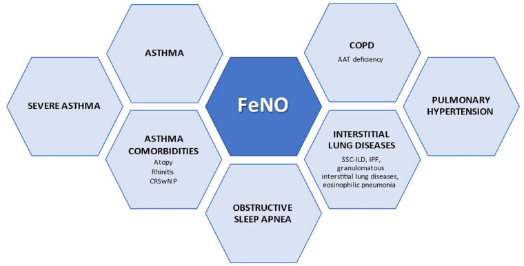 Fractional nitric oxide measurement in exhaled air (FeNO): perspectives in the management of respiratory diseases.