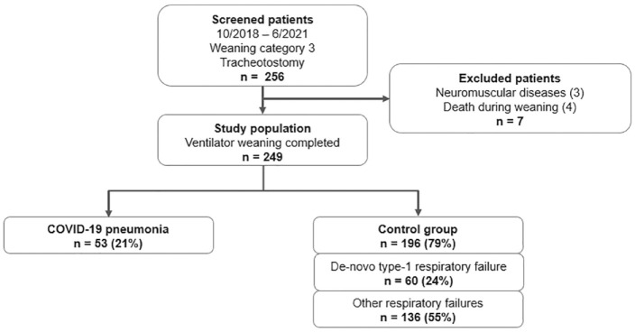 Ventilatory ratio and mechanical power in prolonged mechanically ventilated COVID-19 patients <i>versus</i> respiratory failures of other etiologies.