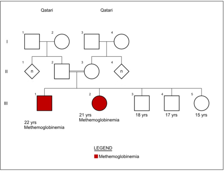 Congenital Methemoglobinemia: First Confirmed Case in the Arab Population with a Novel Variant in the <i>CYB5R</i> Gene in the State of Qatar: A Case Report.