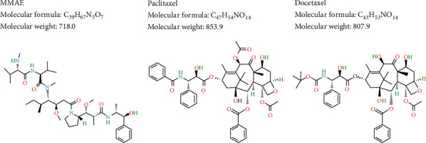 Response of Patients with Taxane-Refractory Advanced Urothelial Cancer to Enfortumab Vedotin, a Microtubule-Disrupting Agent.