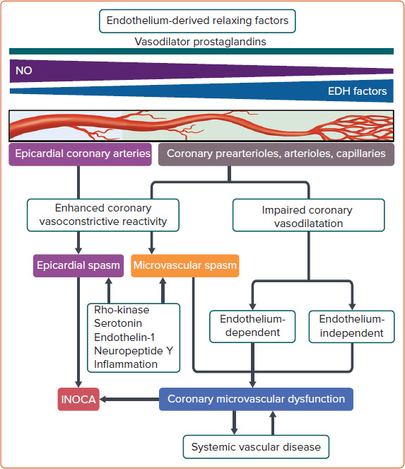 Coronary Microvascular Spasm: Clinical Presentation and Diagnosis.