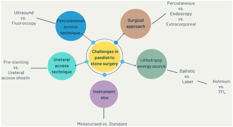 Paediatric kidney stone surgery: state-of-the-art review.