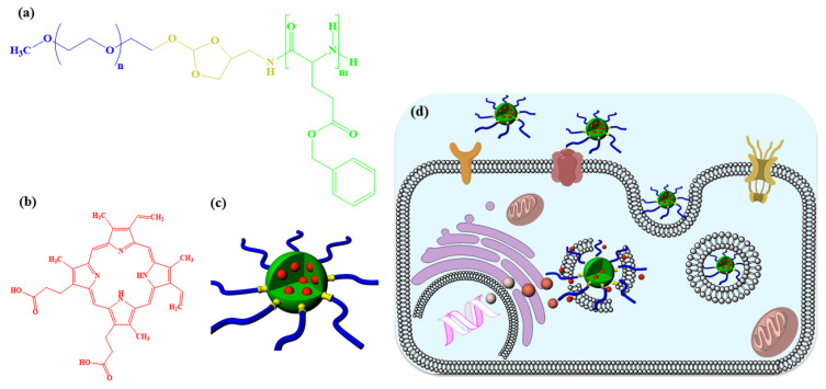 pH-responsive shell-sheddable polymeric nanoparticles as the photodynamic drug carrier: synthesis, characterization, and in vitro studies.