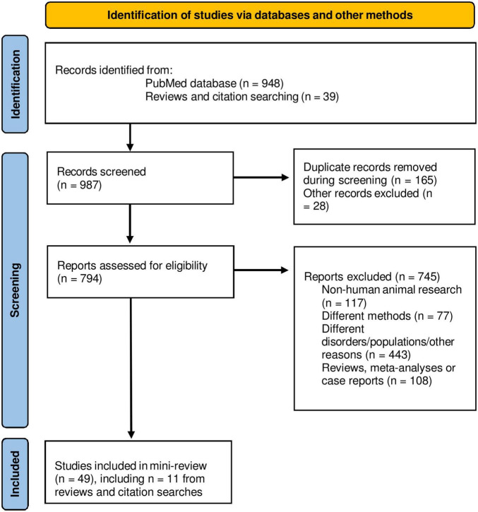 Imaging the cerebellum in post-traumatic stress and anxiety disorders: a mini-review.