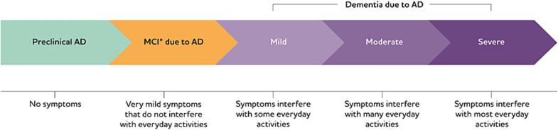 Rethinking the detection and diagnosis of Alzheimer’s disease: Outcomes of a European Brain Council project