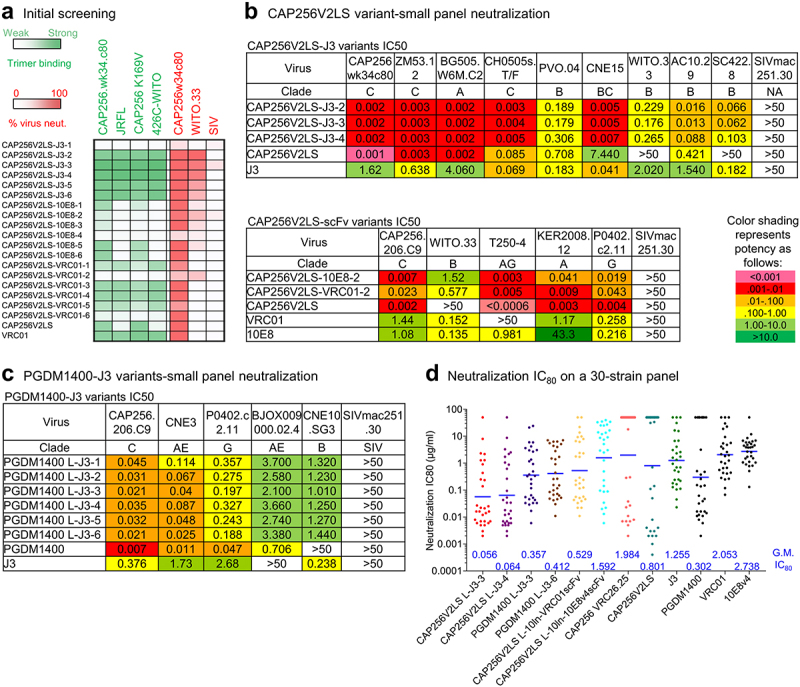 Bispecific antibody CAP256.J3LS targets V2-apex and CD4-binding sites with high breadth and potency.