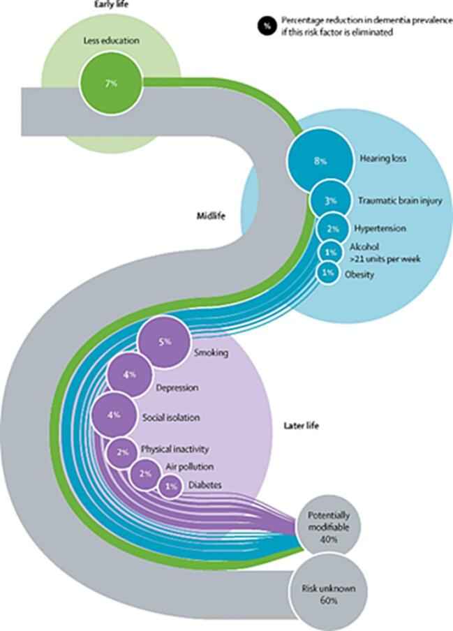 Rethinking the detection and diagnosis of Alzheimer’s disease: Outcomes of a European Brain Council project