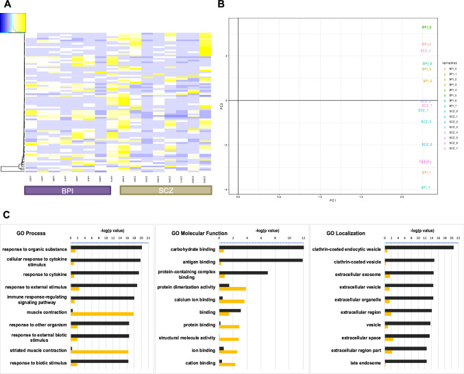 Disease-specific differences in gene expression, mitochondrial function and mitochondria-endoplasmic reticulum interactions in iPSC-derived cerebral organoids and cortical neurons in schizophrenia and bipolar disorder.