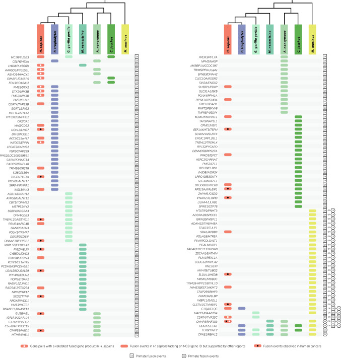 Genes that are Used Together are More Likely to be Fused Together in Evolution by Mutational Mechanisms: A Bioinformatic Test of the Used-Fused Hypothesis.