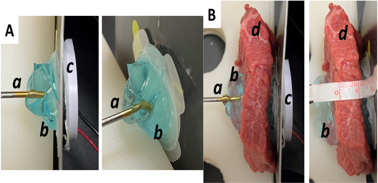 Clinical Diathermy Performance Evaluation of Multi-hour Sustained Acoustic Medicine Treatment with 2.5% Diclofenac Ultrasound Coupling Patch.