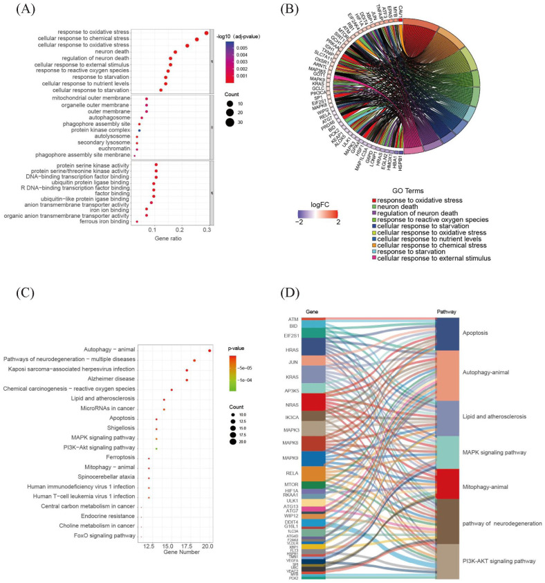 The Biological Processes of Ferroptosis Involved in Pathogenesis of COVID-19 and Core Ferroptoic Genes Related With the Occurrence and Severity of This Disease.