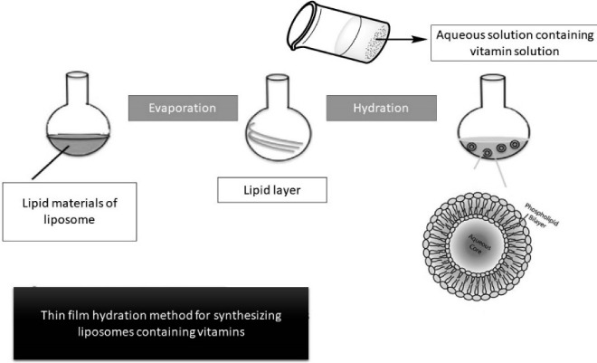 Encapsulation of Vitamins Using Nanoliposome: Recent Advances and Perspectives.