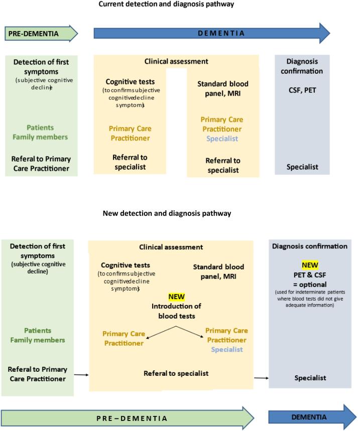 Rethinking the detection and diagnosis of Alzheimer’s disease: Outcomes of a European Brain Council project