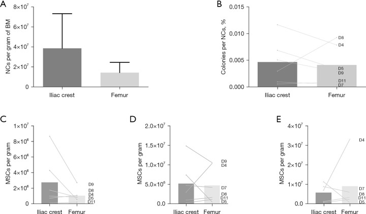 Femur bone marrow from brain death deceased donors as source of human mesenchymal stromal cells for cell therapy.